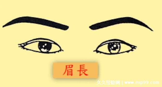 女人十大富贵眉毛图片，龙眉一生与富贵结缘(含一字眉/新月眉)