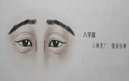 男人八字眉面相好不好