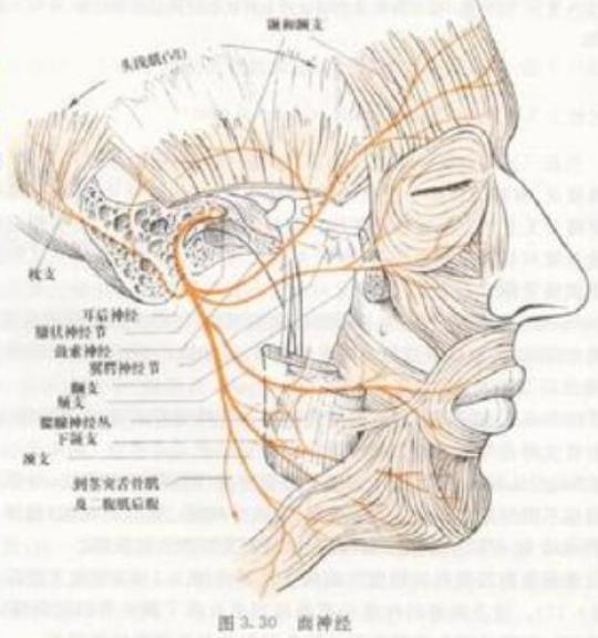 左眼皮跳了好几天了怎么回事 左眼睛跳了好几天了怎么回事