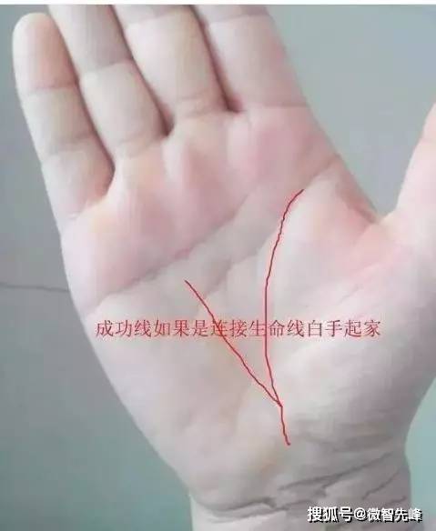 手相成功线的特征怎么说_手相图解