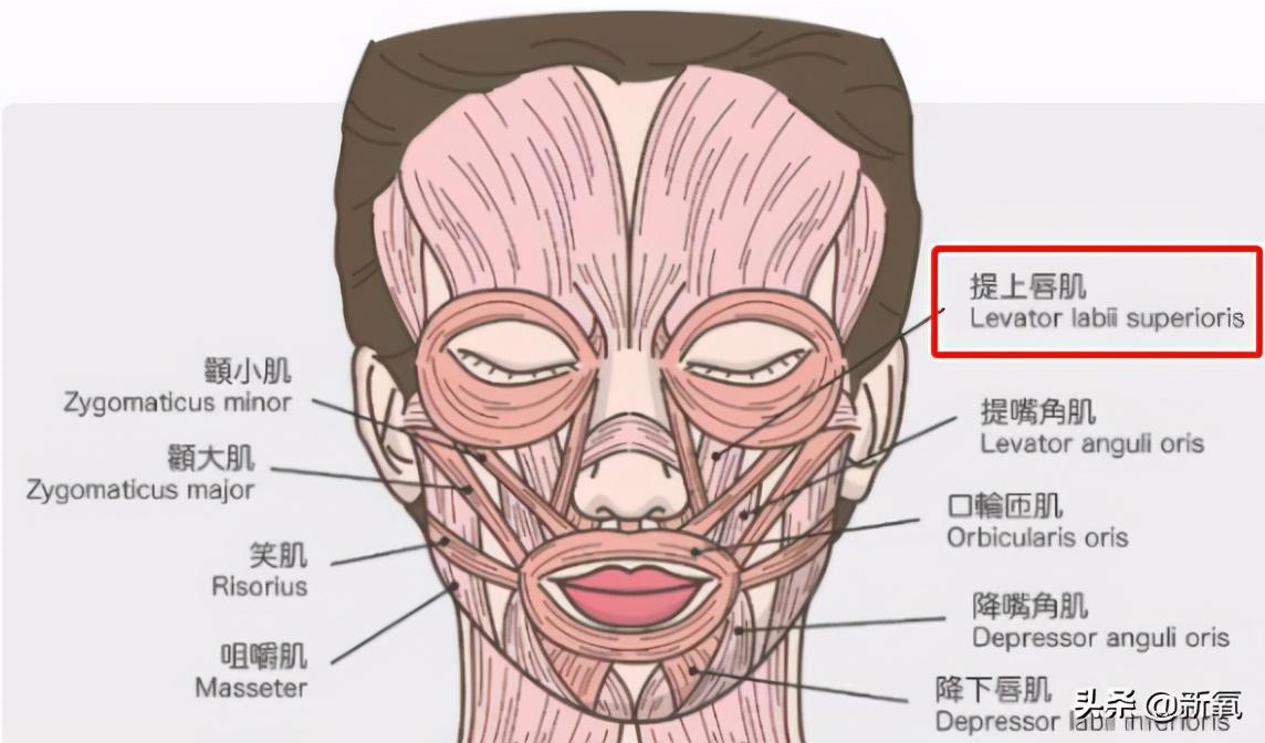 黄磊女儿这法令纹，怕是要走杨紫老路？