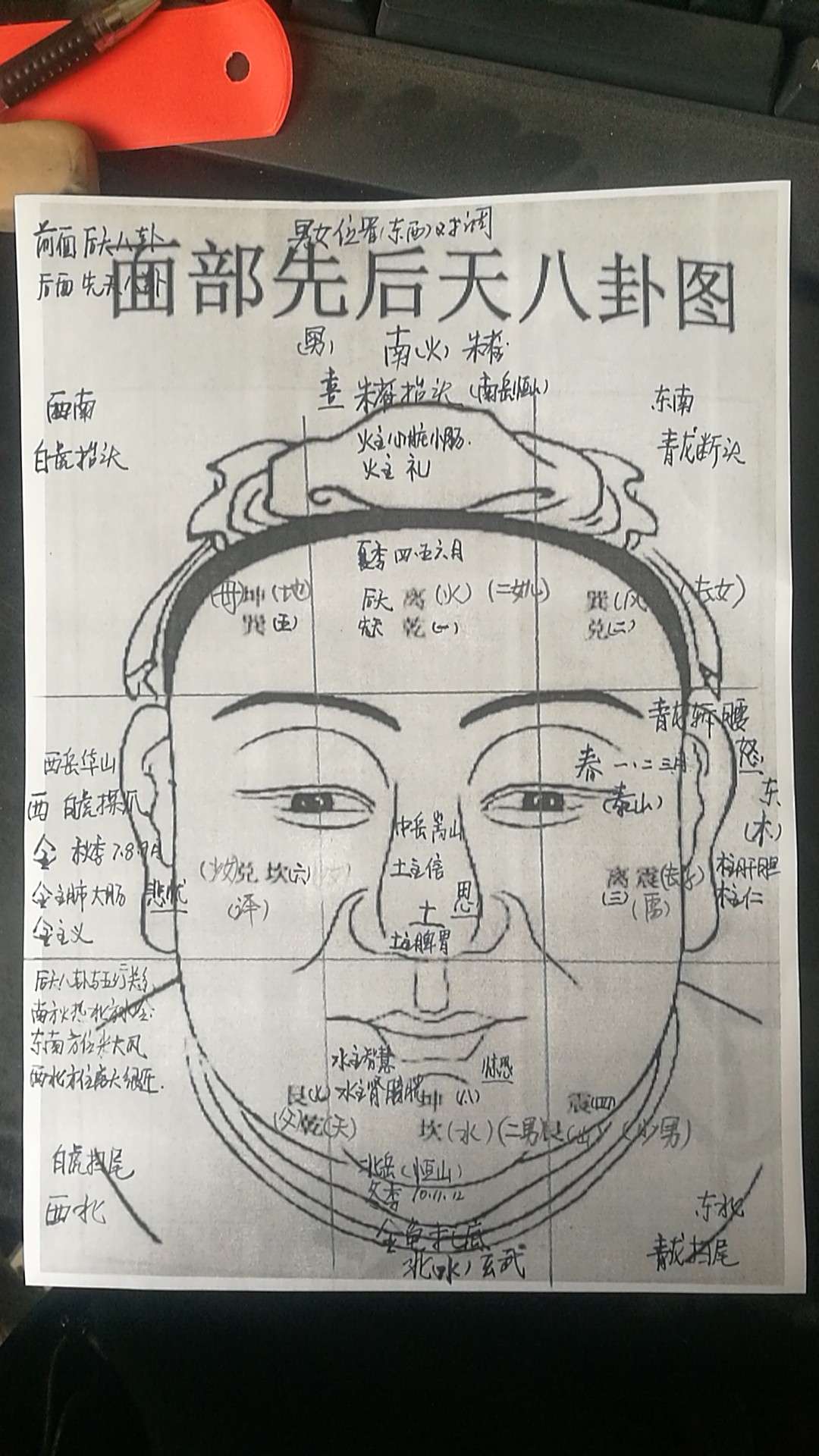 五行面相图解,扫一扫测脸型算命