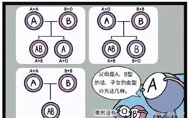 A型、B型、AB型、O型血，哪种血型身体好点？你是哪个血型？