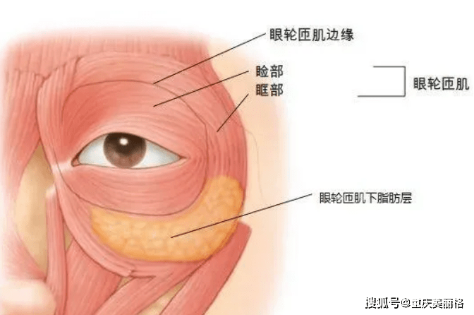 眼皮跳是怎么回事，还在迷信左眼跳喜右眼跳灾？