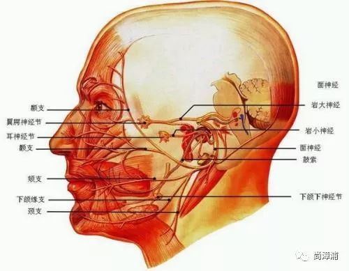 漳浦老人常说“左眼跳吉,右眼跳凶”，有道理吗？