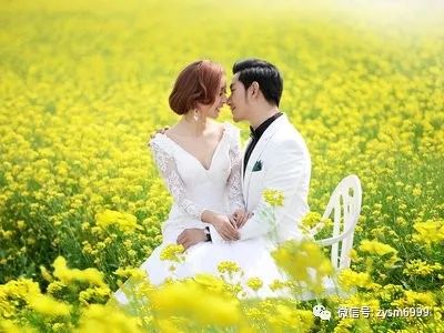 算姻缘如何从生辰八字算姻缘信息测婚姻姻缘状况