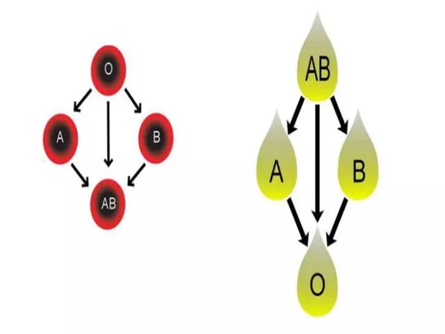 O型血与什么血型的人生孩子会更聪明？知道后，就知道配偶多重要