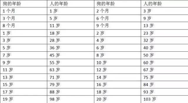 属狗人： ​属狗的今年多少岁 属狗命运