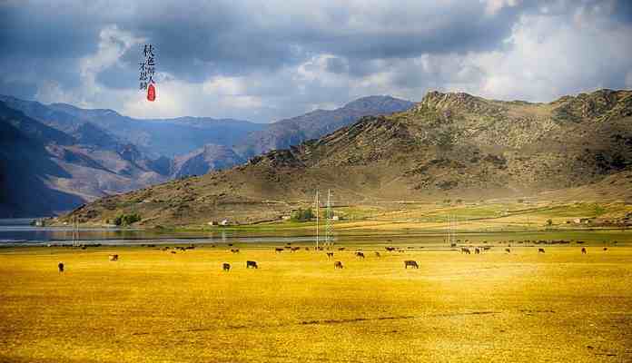 酉时是几点（中国古代十二时辰，分别对应现在几点钟？）