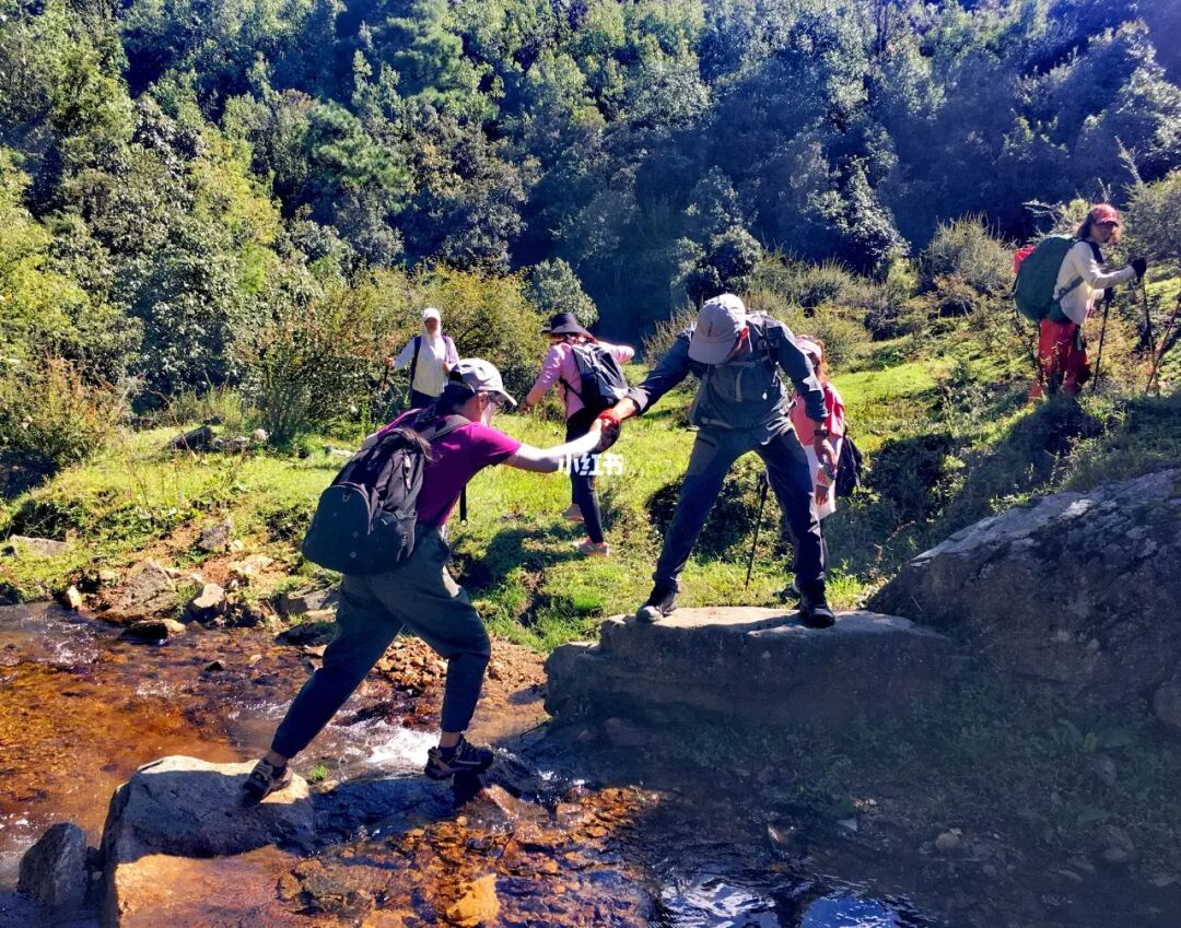 大理的一座极其低调的佛教名山，世界佛教禅宗发源地，鸡足山