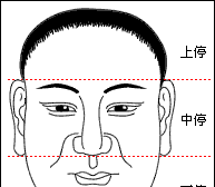 面相解析—有此面相注定鸿业向荣