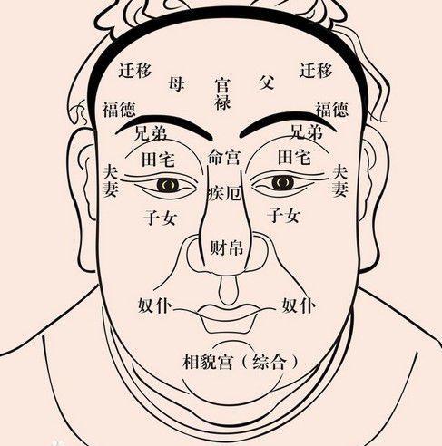 面相解析—有此面相注定鸿业向荣