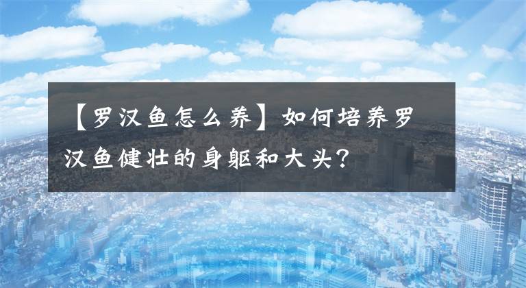 【罗汉鱼怎么养】谁说养鱼穷了三年？今天让你低成本养罗汉鱼！迪，走吧。