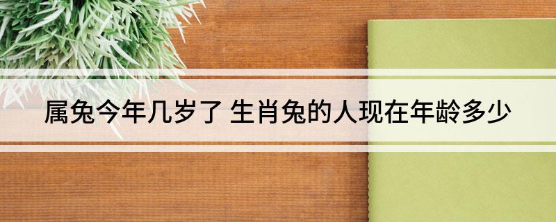 属兔的今年虚岁几岁,60年属兔的今年多大