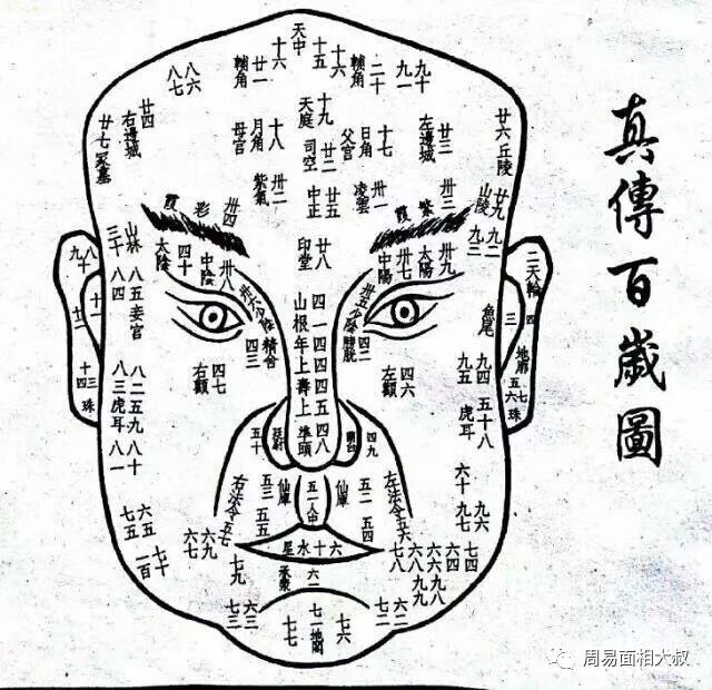 颧骨高的面相代表什么(颧骨高克夫还是旺夫)