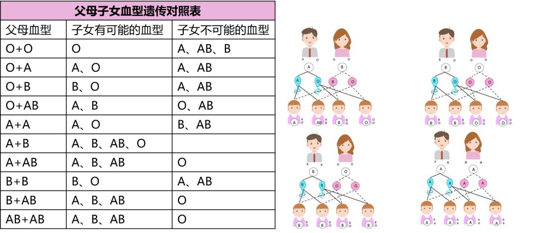 血型有哪些，都有什么样的血型