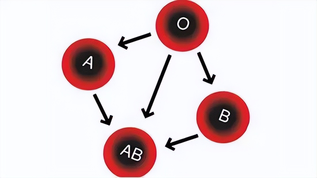 血型有哪些，都有什么样的血型