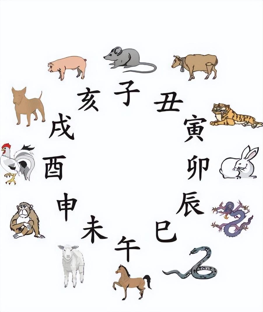 越南也有12生肖，2023年不是兔年而是猫年，为什么兔子被换成猫？