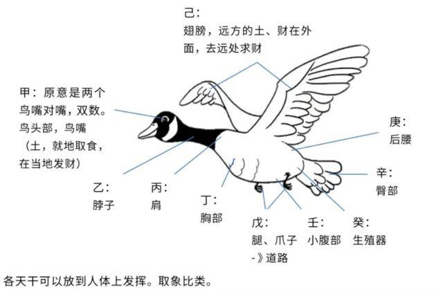 十二地支与二十四节气以及十天干的对应关系