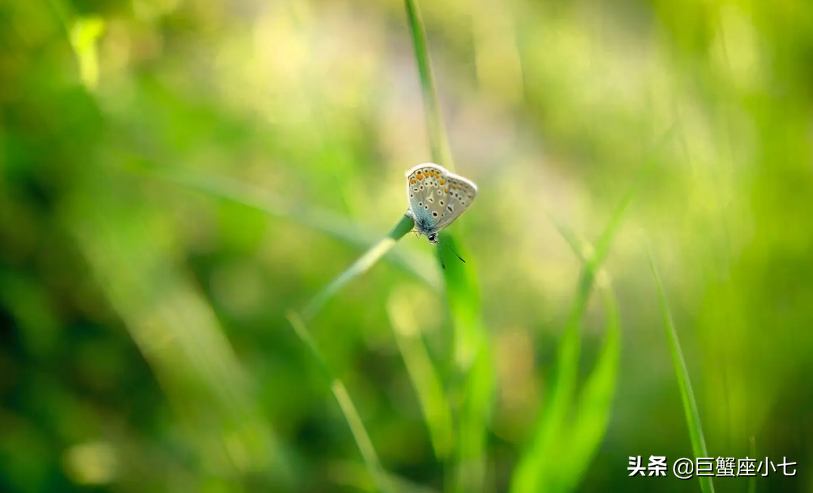 能驾驭射手的三个星座，都是狠人