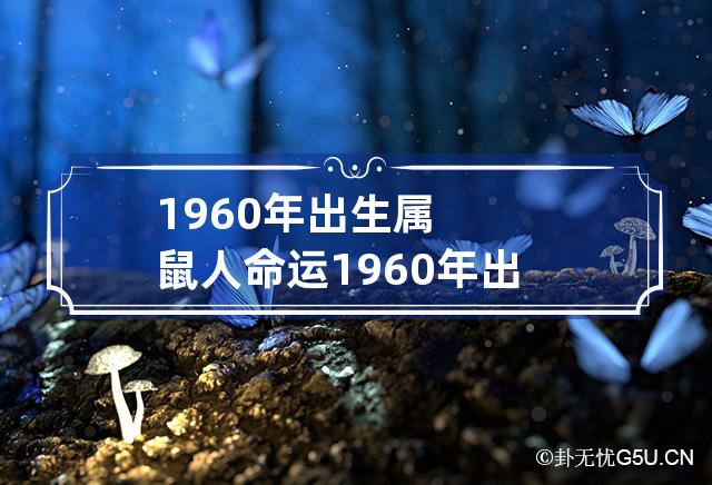 1960年出生属鼠人命运 1960年出生属鼠人命运怎么样