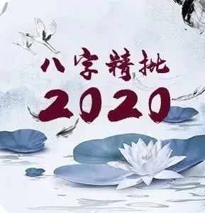 12生肖要注意的年份月份