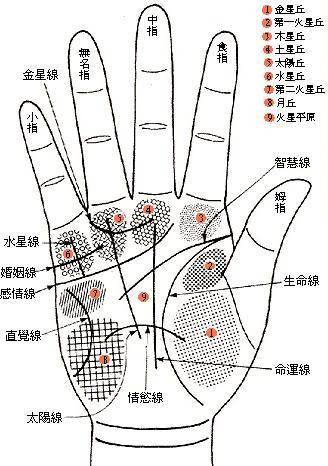 手纹与身体健康的对应关系