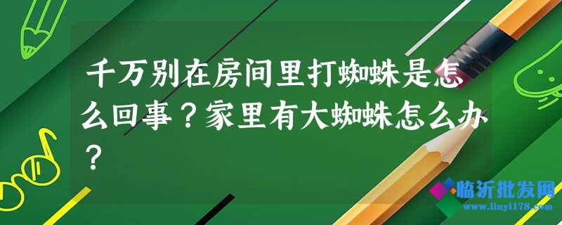 千万别在房间里打蜘蛛是怎么回事？家里有大蜘蛛怎么办？