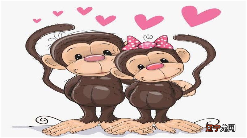 十二生肖里生肖猴的女人一生命运与婚姻会怎么样！