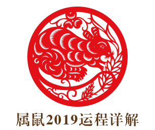 属鼠的人2019年运程综述