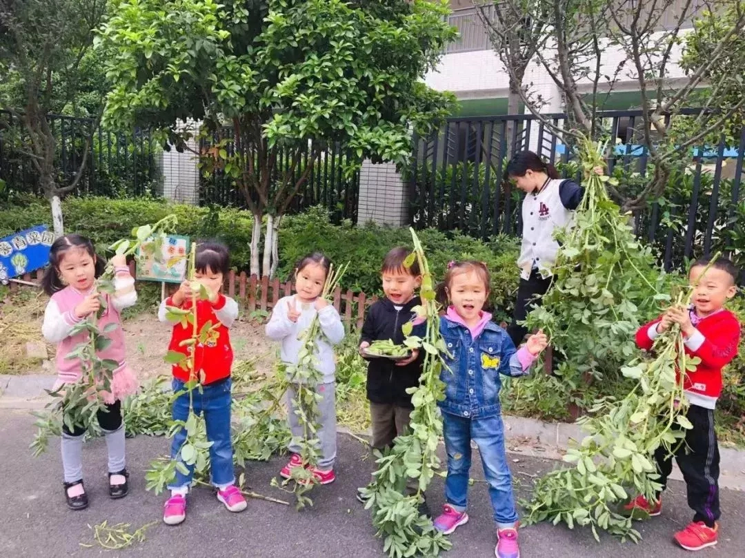 孩子撞蛋比赛，杭城家长连夜排队买鸡蛋鸭蛋鹅蛋鹌鹑蛋……最硬的竟是它