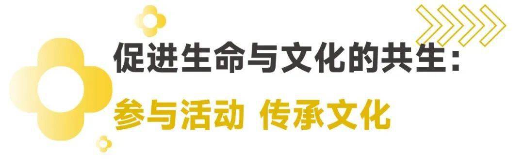 “清明”能带来怎样的教育契机？