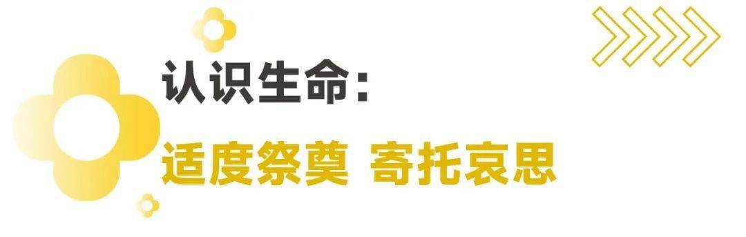 “清明”能带来怎样的教育契机？