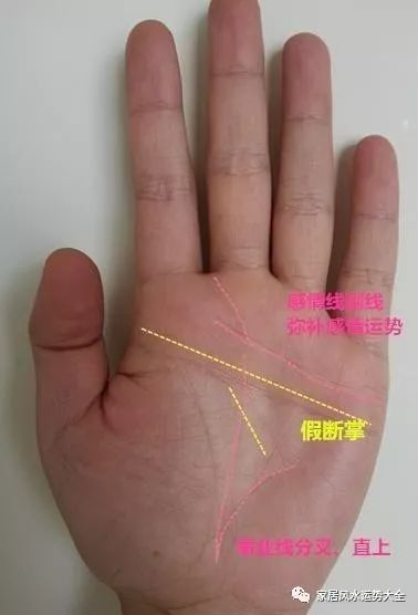 手相图解：什么是假断掌纹的手相？