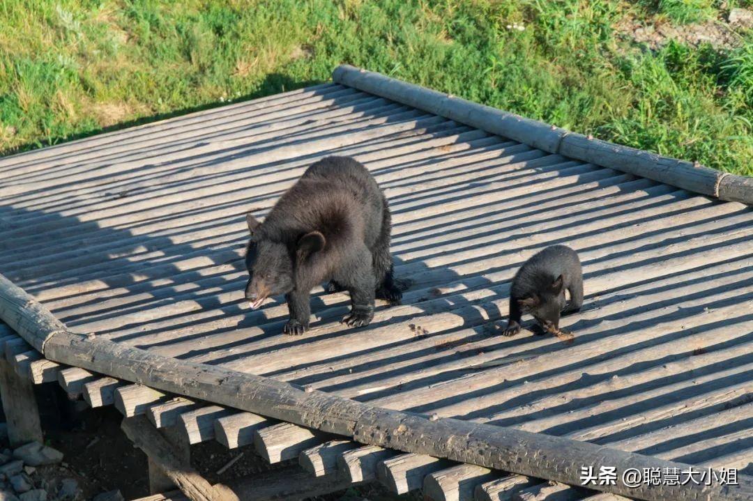 抚远，这座城市被忽略太久了！它才是真正的“东极”！