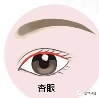 常见眼型解析，你了解自己的眼型吗？