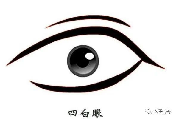 常见眼型解析，你了解自己的眼型吗？