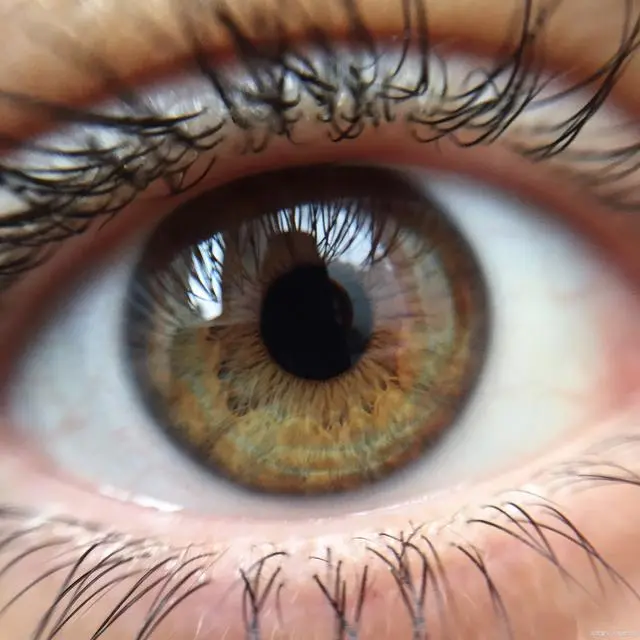 右眼跳是什么预兆，24小时右眼皮跳吉凶预兆！